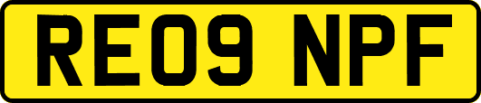 RE09NPF