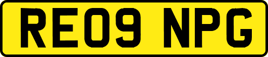 RE09NPG