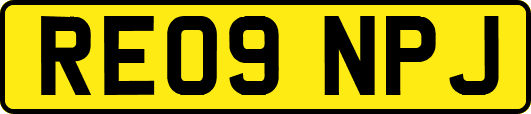 RE09NPJ