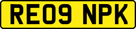 RE09NPK