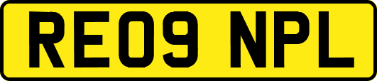 RE09NPL