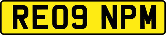 RE09NPM