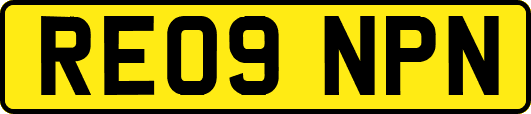 RE09NPN