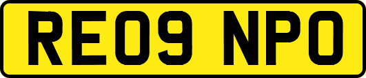 RE09NPO