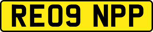 RE09NPP