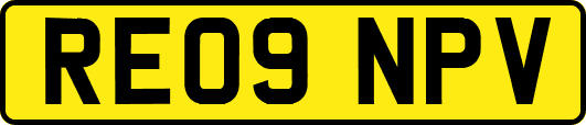 RE09NPV