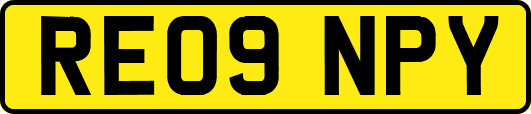 RE09NPY