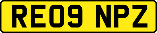 RE09NPZ