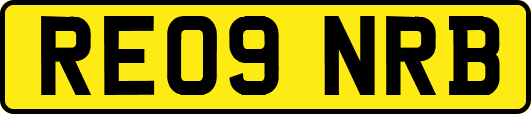 RE09NRB