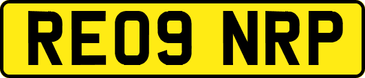 RE09NRP