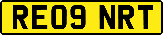 RE09NRT