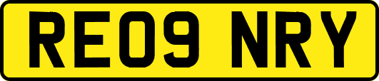 RE09NRY