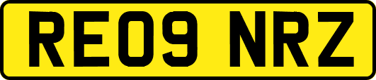 RE09NRZ