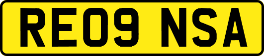 RE09NSA