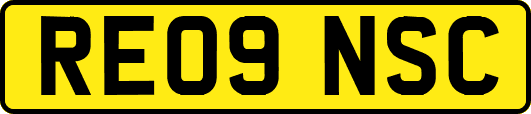 RE09NSC