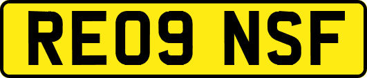 RE09NSF