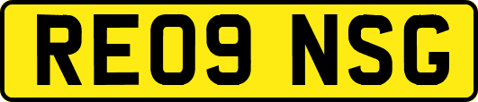 RE09NSG