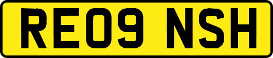 RE09NSH