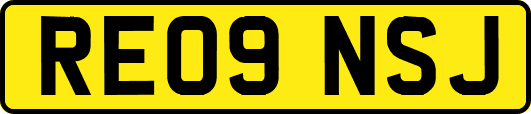 RE09NSJ