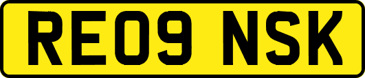RE09NSK