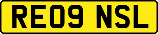 RE09NSL