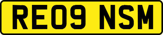 RE09NSM