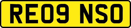 RE09NSO