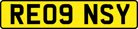 RE09NSY