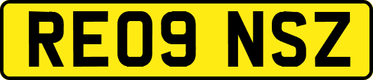 RE09NSZ