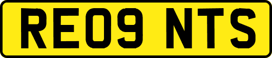 RE09NTS