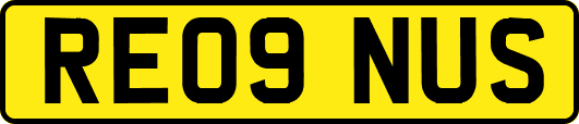 RE09NUS