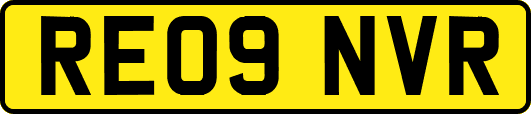 RE09NVR