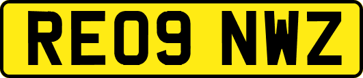RE09NWZ