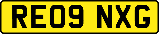 RE09NXG