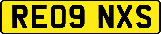 RE09NXS