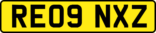RE09NXZ