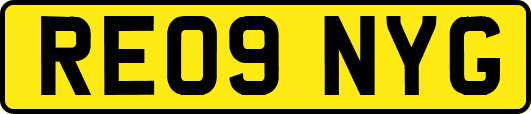 RE09NYG