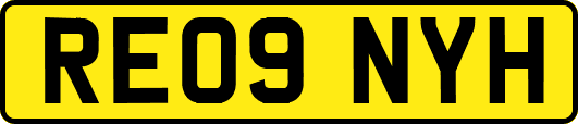 RE09NYH