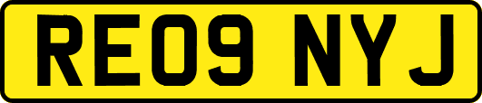 RE09NYJ