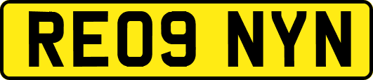 RE09NYN