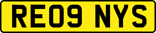 RE09NYS