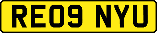 RE09NYU