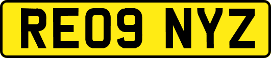 RE09NYZ