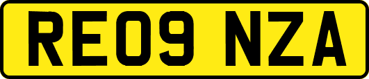 RE09NZA
