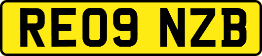 RE09NZB