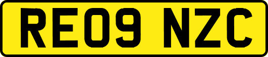 RE09NZC