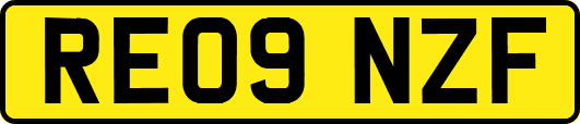 RE09NZF