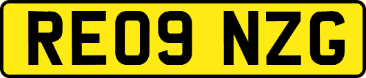 RE09NZG