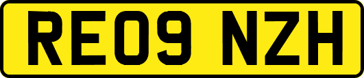 RE09NZH