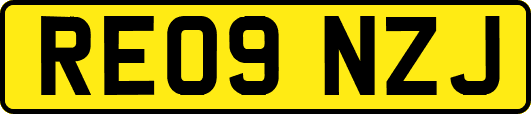 RE09NZJ